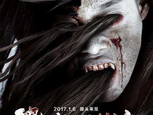 北佛罗里达大学DiplomainFinance